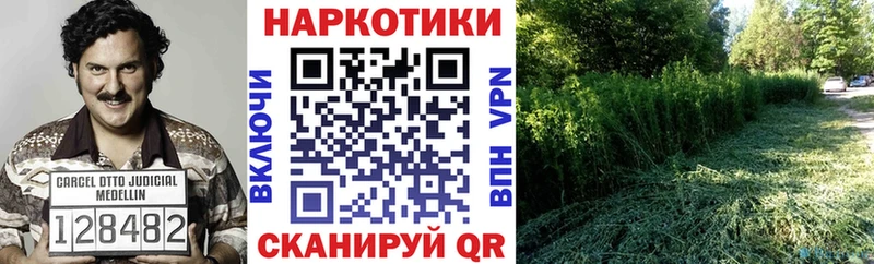 Какие есть наркотики Морозовск Cocaine  APVP  Мефедрон  Гашиш  Бошки Шишки 