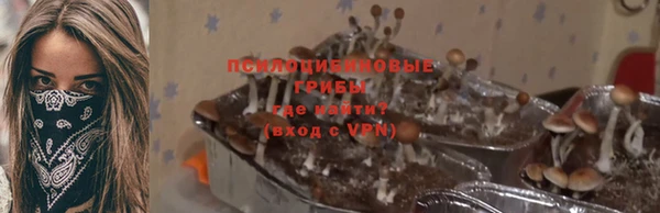 герыч Арсеньев
