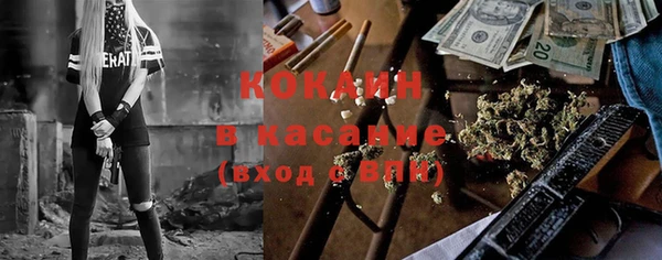 крисы Аркадак